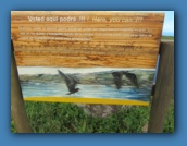 Another sign explaining how the Frigate birds clean their wings.